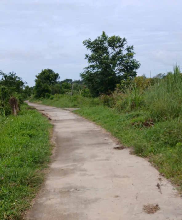 Đất thổ cư thôn 6 xã Hàm Chính 3600m² giá chỉ 349 triệu - Đầu tư lý tưởng!