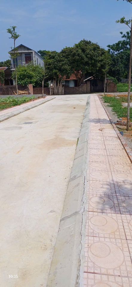 Đất nền Phú Sơn - Phú Cát 1005m² giá thỏa thuận - Đầu tư sinh lời ngay!