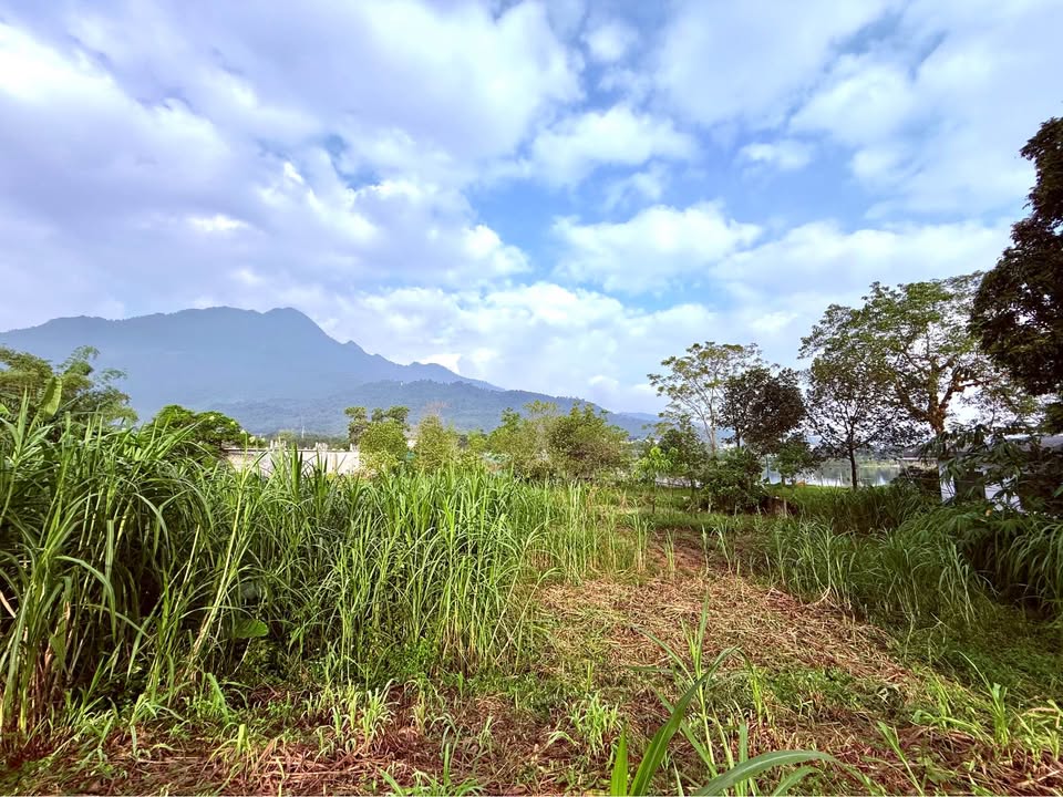 Mảnh đất Farm 2000m² tại Yên Bài, Ba Vì - View hồ núi tuyệt đẹp, sổ đỏ chính chủ!