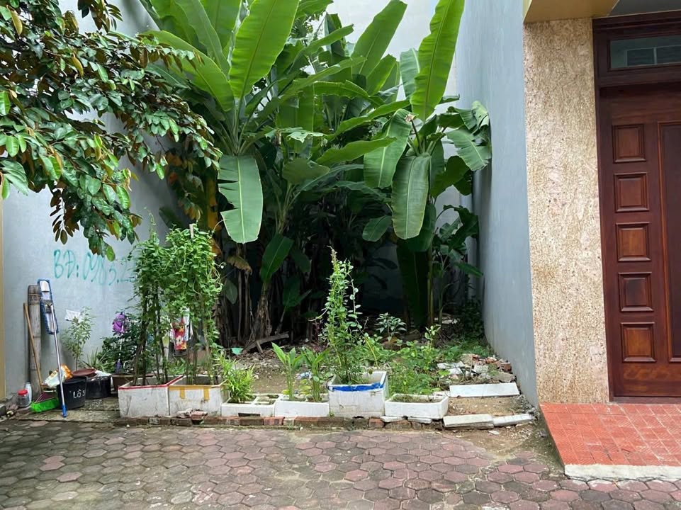 Lô đất Phú Sơn 65m² giá 1 tỷ - Vị trí đẹp, xây dựng tự do!