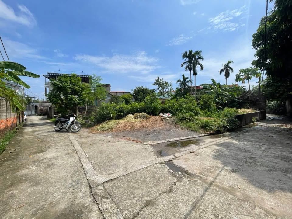 Đất thổ cư Phú Nghĩa, Chương Mỹ 65m² giá 2.6 tỷ - Gần trung tâm tiện ích!