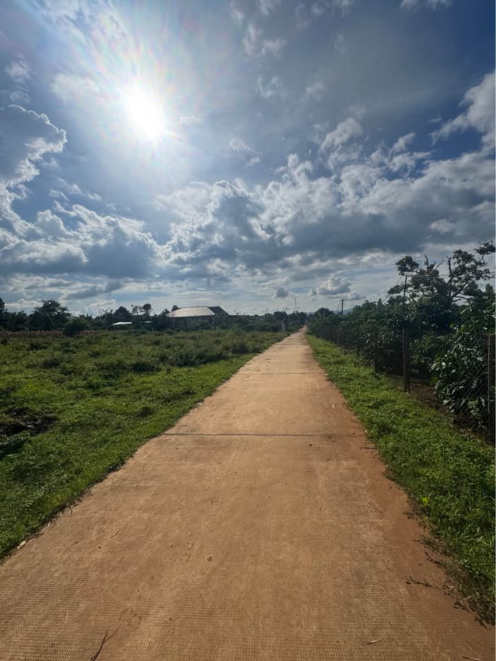 Đất nền hẻm 412 Trường Sơn, Pleiku 252m² - Hướng Nam, giá tốt!