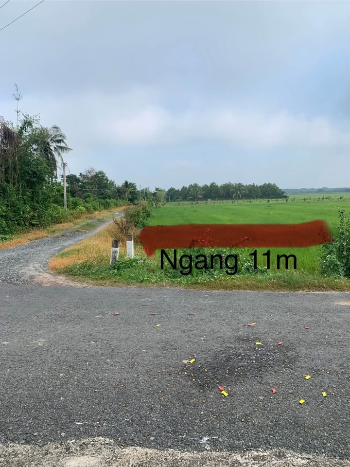 Đất 2 mặt tiền Lộc Hòa, Trảng Bàng 528m² giá 900 triệu - Cơ hội đầu tư tuyệt vời!