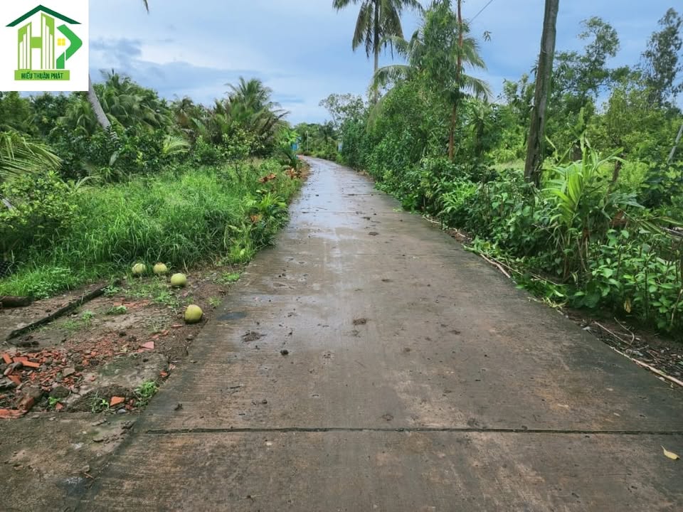 Đất nền Vĩnh Hưng Bạc Liêu 304m² chỉ 224 triệu - Cơ hội đầu tư hiếm có!