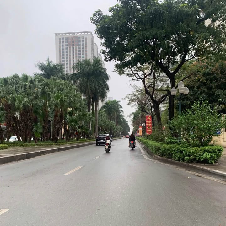 Biệt thự lô góc khu đô thị Mỹ Đình 1 - 152m² giá 68 tỷ - Thiết kế sang trọng, an ninh tốt!