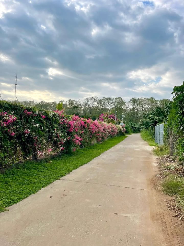 Đất nền 3600m² tại Xã Tân Phú, Đồng Nai giá 560 triệu - Cơ hội đầu tư sinh lời!