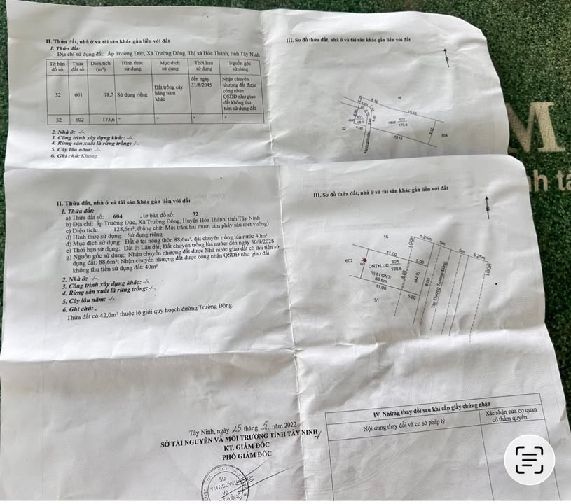 Đất nền mặt tiền Trường Đông, Hòa Thành, Tây Ninh 352m² - Giá chỉ 1 tỷ VND, thương lượng ngay!
