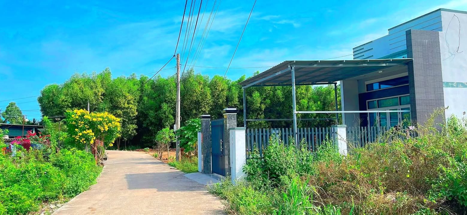 Đất thổ cư Phước Hội 149m² giá 880 triệu - Đường bê tông ô tô vào tận nơi!