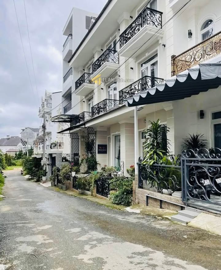 Đất nền Phù Đổng, Đà Lạt 82m² giá 6.5 tỷ - Đầu tư sinh lời ngay!