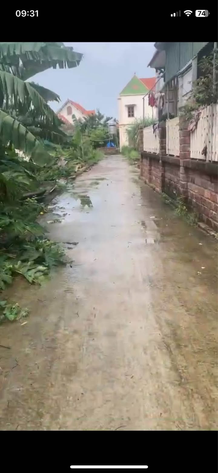 Đất ngay chợ Xâm Xuyên, Hồng Vân 75m² giá 3.75 tỷ - Cơ hội đầu tư tuyệt vời!