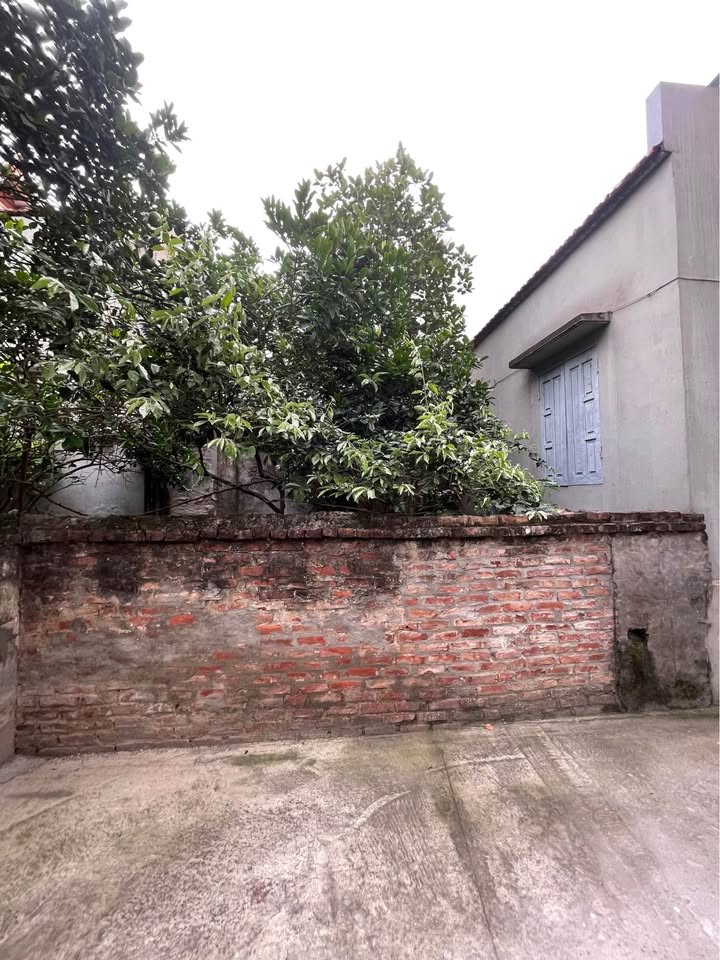 Đất Thượng Cát 58m² giá 5.5 tỷ - Sổ đỏ chính chủ, ô tô đỗ cửa!