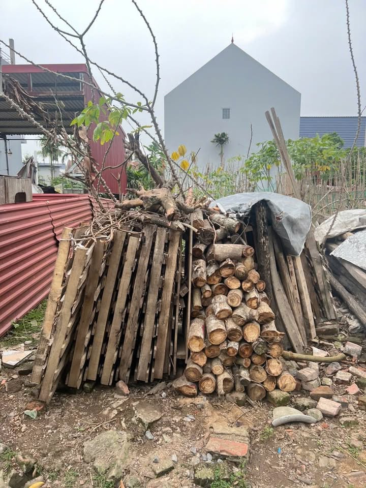 Đất thổ cư 139m² tại thôn An Bình, Khoái Châu, Hưng Yên - Mặt tiền 5m, ô tô vào tận nơi!