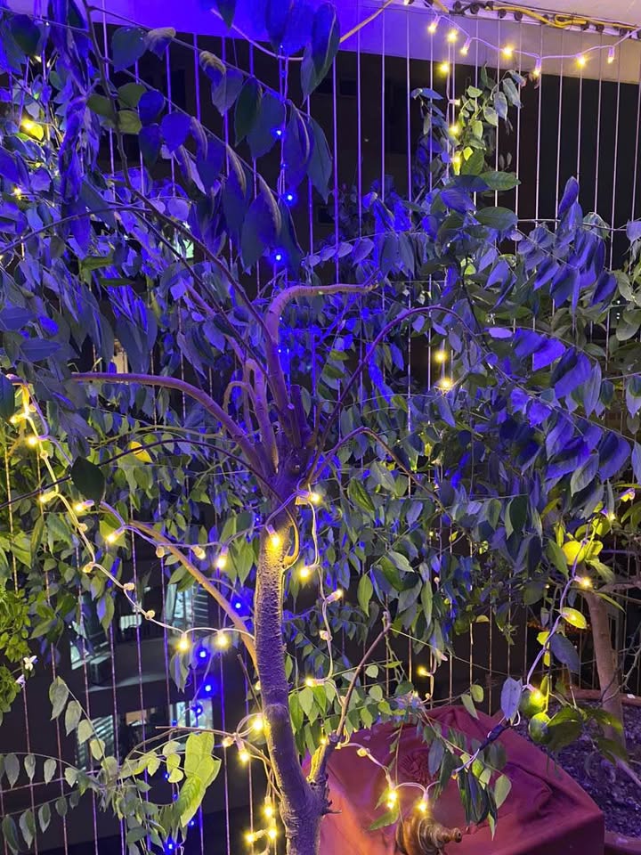 Chung cư N07 Thành Thái, Cầu Giấy 87m² giá 7 tỷ - Full nội thất đẹp