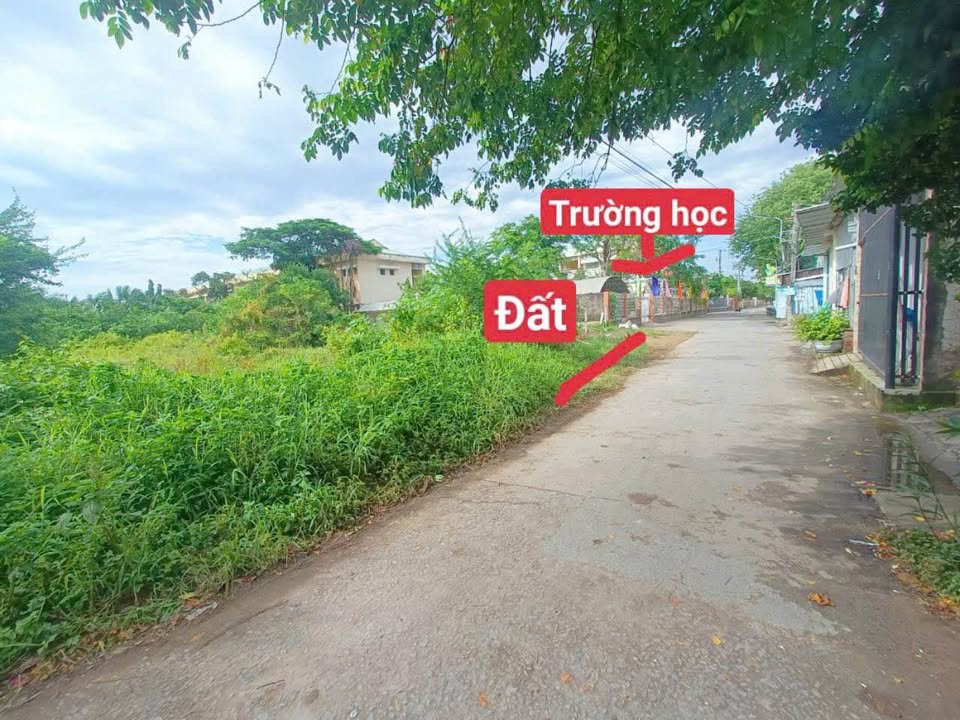 Đất nền liền kề mặt tiền đường Phú Tân, Bến Tre - Diện tích 308m² chỉ 1.54 tỷ!