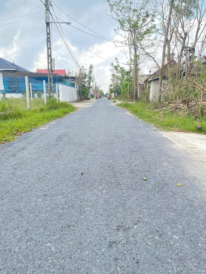 Đất Nghi Trường 120m² giá 1.3 tỷ - Mặt tiền rộng, vị trí đắc địa!