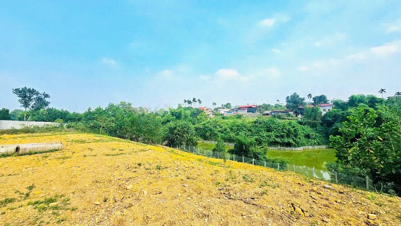 Đất nền Cư Yên, Lương Sơn, Hòa Bình 1500m² - Vị trí đắc địa, sổ đỏ chính chủ!