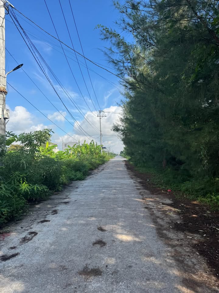 Đất nền Gia Trấn Ninh Bình 120m² giá 3.1 tỷ - Tiềm năng tăng giá cao!