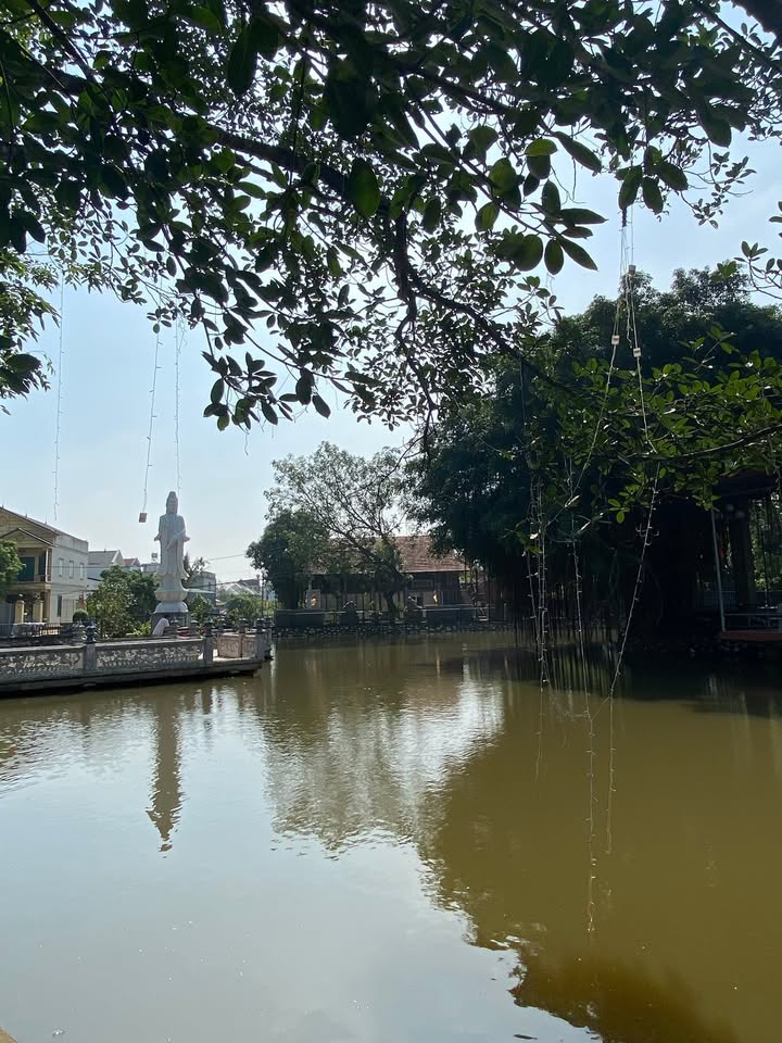 Đất nền xã Bắc Hồng 56m² giá thỏa thuận - Gần hồ điều hòa, không khí trong lành!