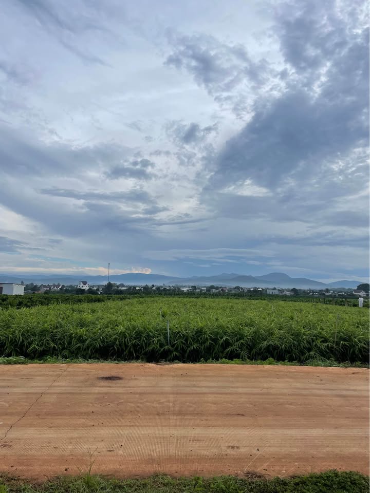 Đất nền đường Ba Cản Tân Hội 1112.5m² giá 1.05 tỷ - Đầu tư sinh lời ngay!