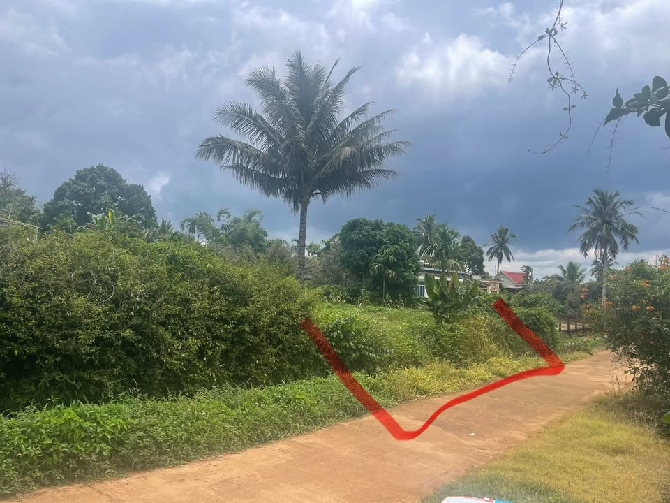 Đất nền Cư Bao 555m² giá 30.525 tỷ - Đường bê tông ô tô né nhau!