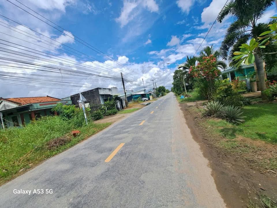 Đất nền mặt tiền TL835D, xã Long Hòa, Cần Đước 3650m² giá 15 tỷ - Cơ hội đầu tư tuyệt vời!