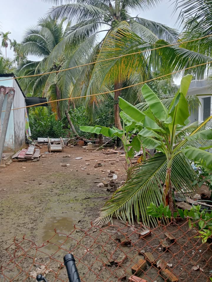 Đất nền khu phố Mỹ Thuận, Cai Lậy 197m² giá chỉ 780 triệu - Cơ hội đầu tư tuyệt vời!