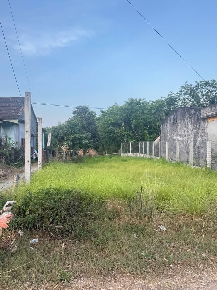 Đất thổ cư mặt tiền 631, Thôn Trung Hội, Mỹ Trinh, 150m² - Giá 750 triệu, đầu tư sinh lời!