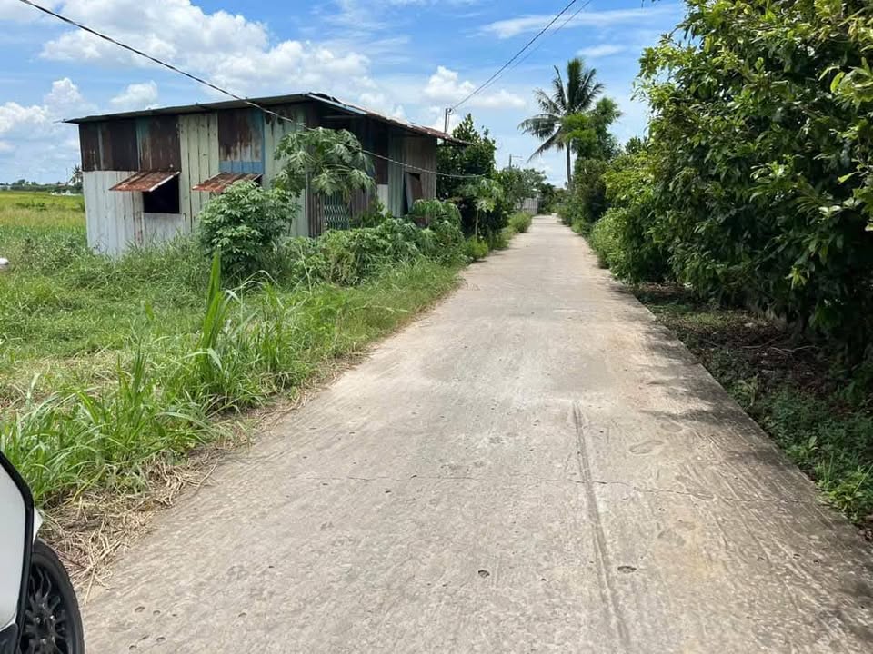 Đất nền ấp 5 Nhị Thành 1000m² giá 1,6 tỷ - Sổ đỏ chính chủ, thuận tiện đầu tư!