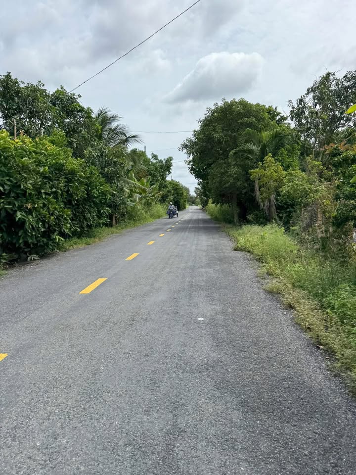 Đất hầm 18,000m² xã Tân Hộ Cơ Đồng Tháp giá chỉ 1.4 tỷ - Cơ hội đầu tư tuyệt vời!