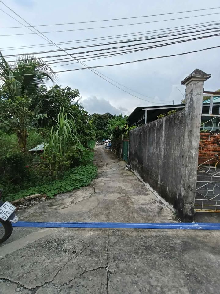 Đất thổ cư 145m² tại P7 Tân An chỉ 1.2 tỷ - Giá đầu tư hấp dẫn!