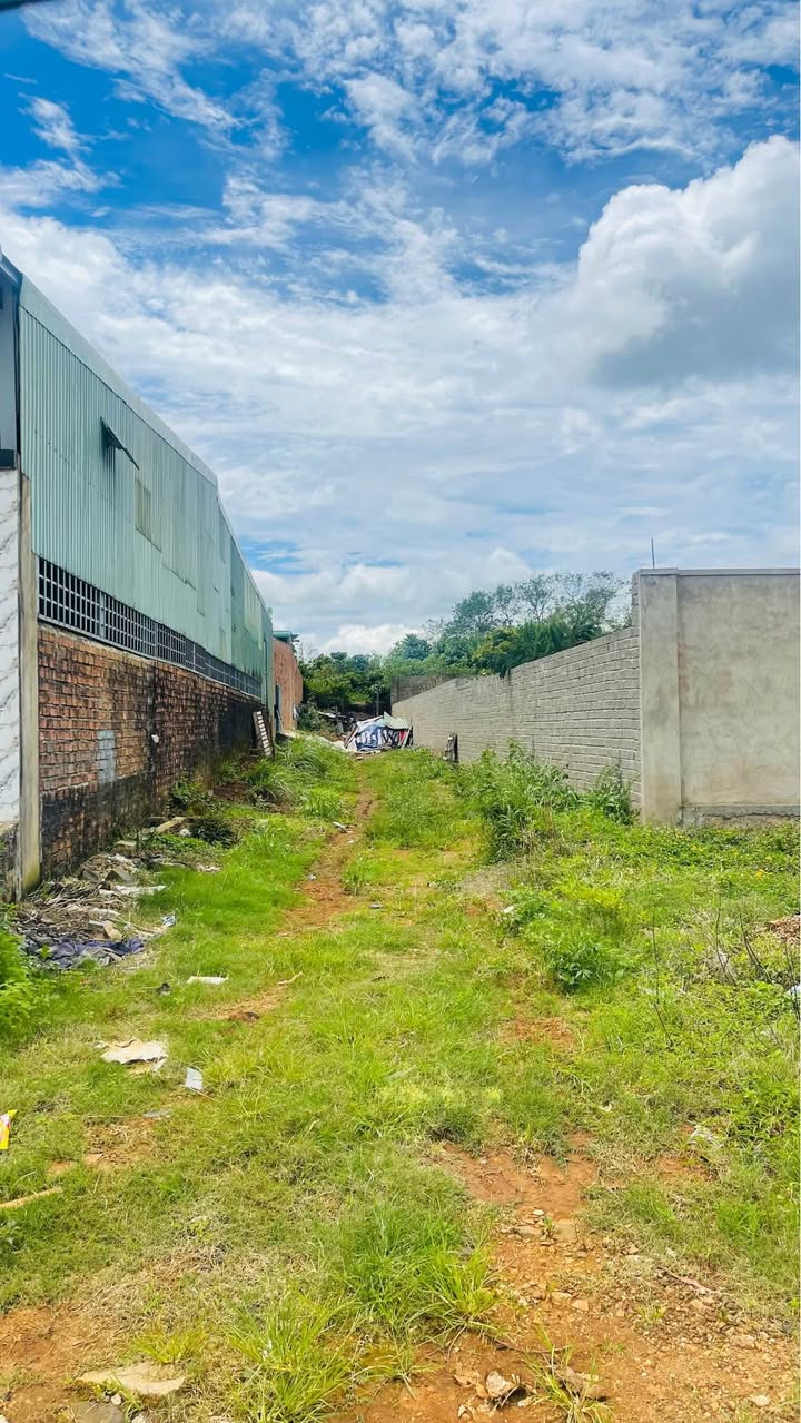 Đất mặt tiền đường Nguyễn Siêu, phường Diên Hồng, 295m² giá 1.3 tỷ - Cơ hội đầu tư không thể bỏ lỡ!