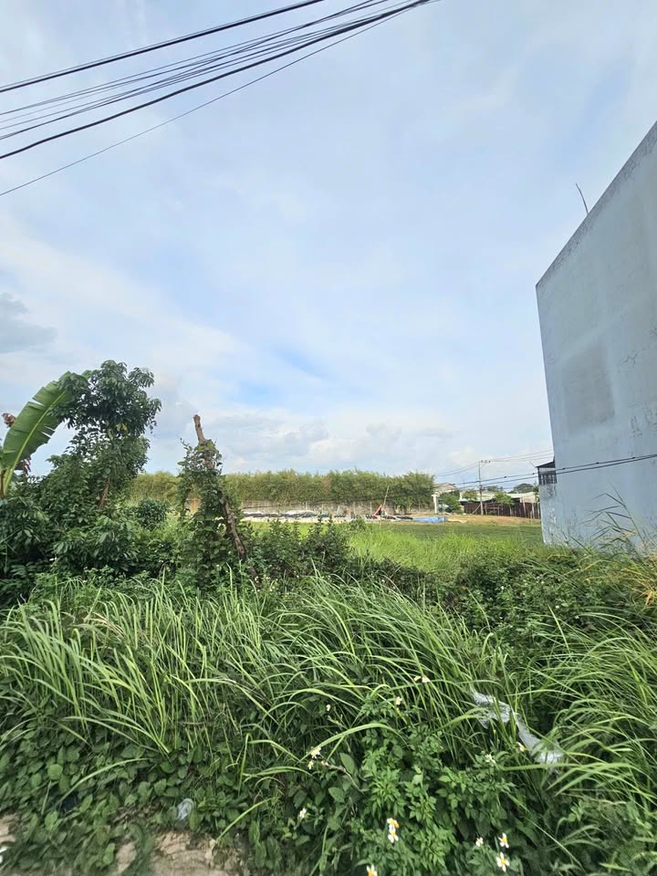 Đất mặt tiền Nguyễn Thị Thử, Xuân Thới Đông, 77m² giá 3.65 tỷ - Đầu tư sinh lời lý tưởng!