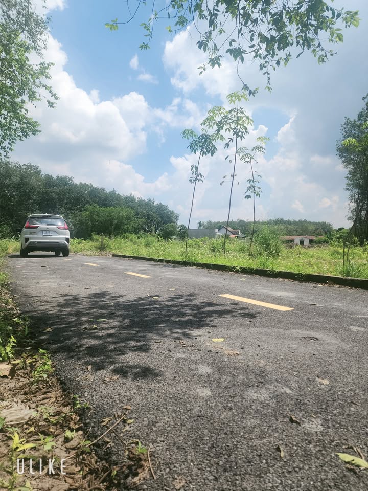 Đất nền 4000m² tại thị trấn Phước Vĩnh, Bình Dương - Giá chỉ 2.5 tỷ, cơ hội vàng cho nhà đầu tư!