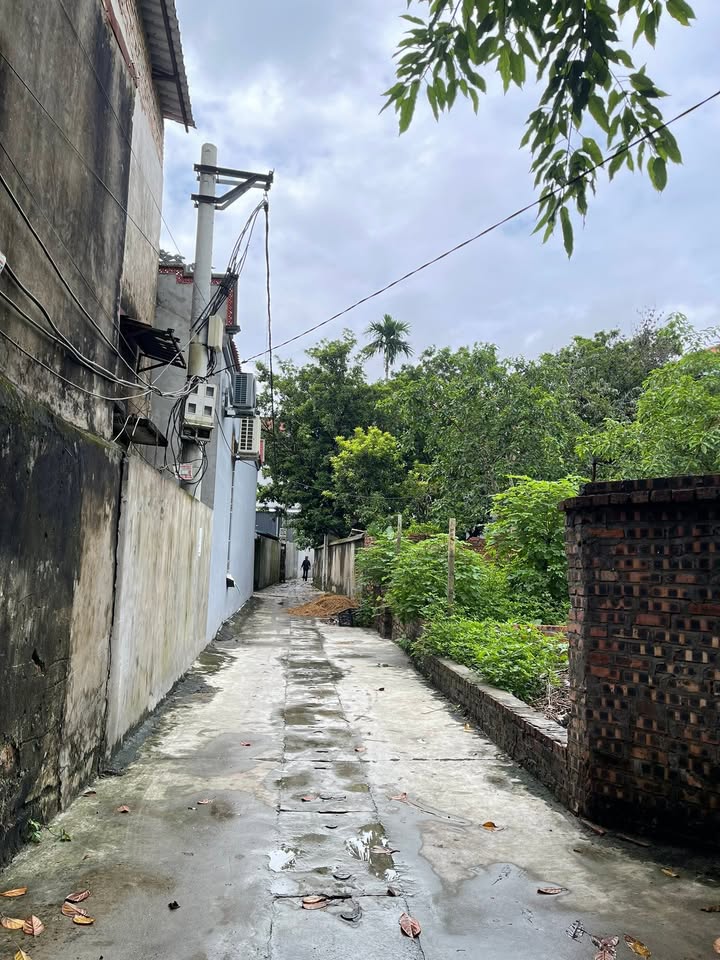 Đất nền Kim Hoa, Mê Linh 48,3m² giá 2,3 tỷ - Đầu tư sinh lời ngay!