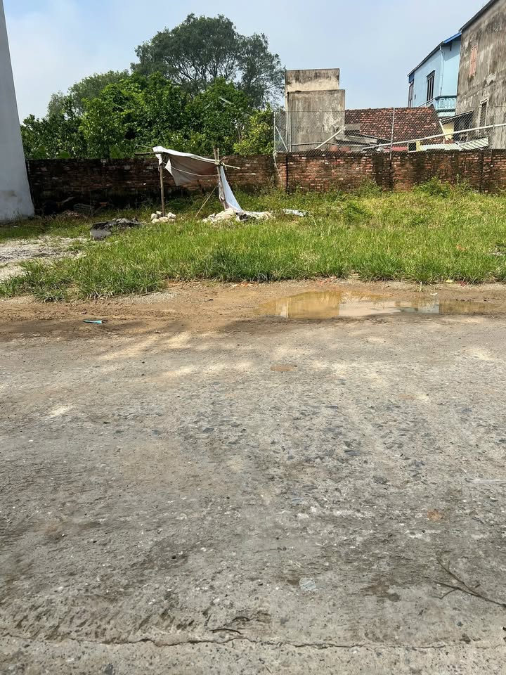 Đất nền Tân Ước, Thanh Oai 62m² giá 3 tỷ - Đầu tư sinh lời ngay!