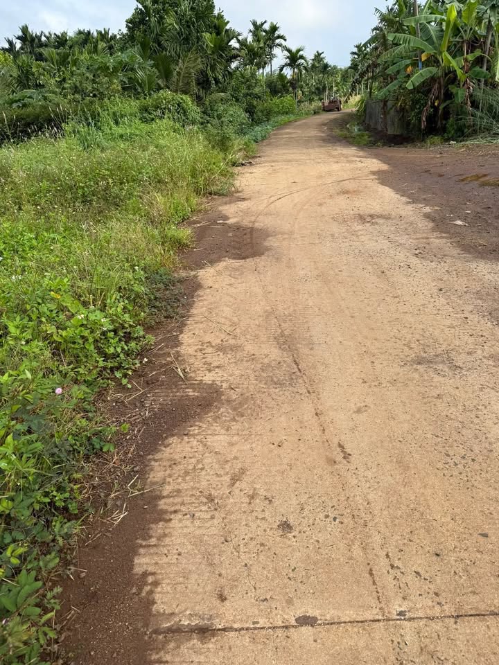 Đất nền mặt tiền đường 200m, view cánh đồng Ea Kao 825m² giá 7.7 tỷ - Cơ hội đầu tư tuyệt vời!