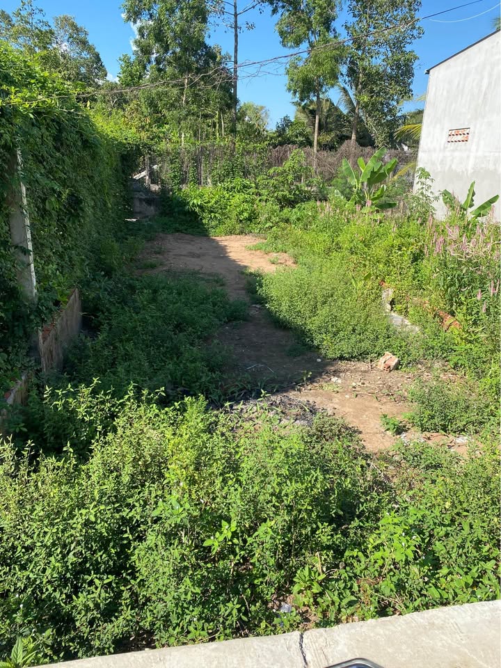 Đất nền khu phố 9, phường 9, Trà Vinh 87m² - Giá chỉ 370 triệu, thương lượng ngay!