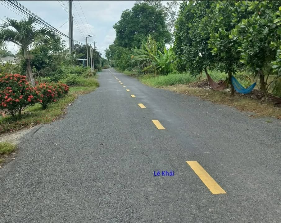 Đất lúa 20.000m² xã Thanh Mỹ, Tháp Mười - Giá chỉ 330 triệu, thương lượng ngay!