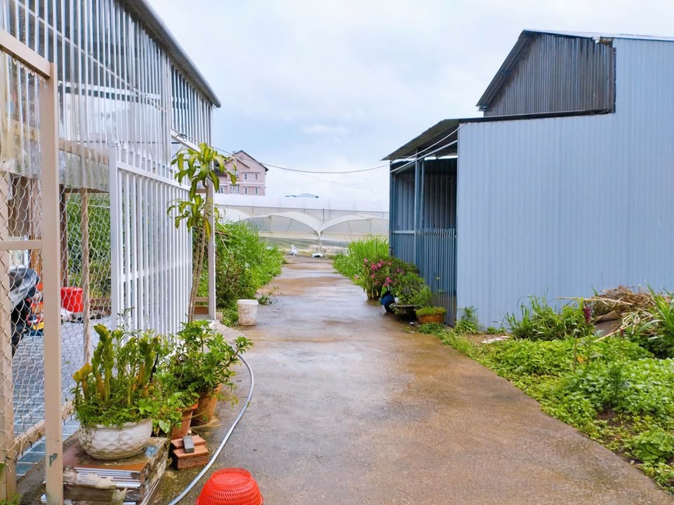 Đất nền Đà Lạt 67m² giá 1.5 tỷ - Sổ đỏ chính chủ, đường ô tô