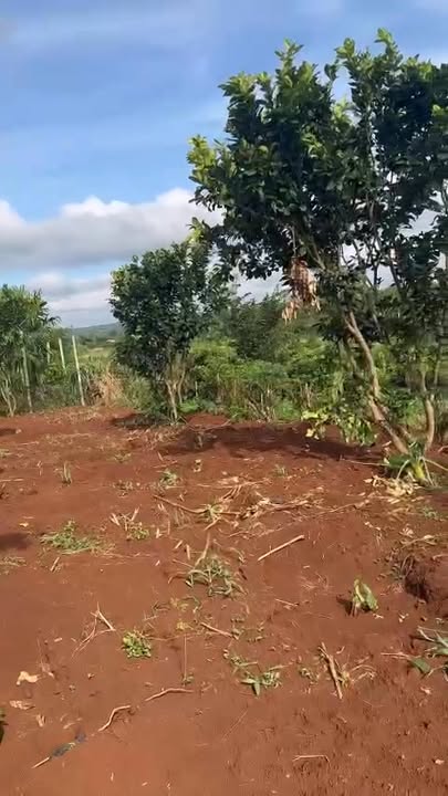 Lô đất thổ cư 660m² tại thôn Xuân Long, Ea Kar chỉ 680 triệu - Đầu tư sinh lời ngay!