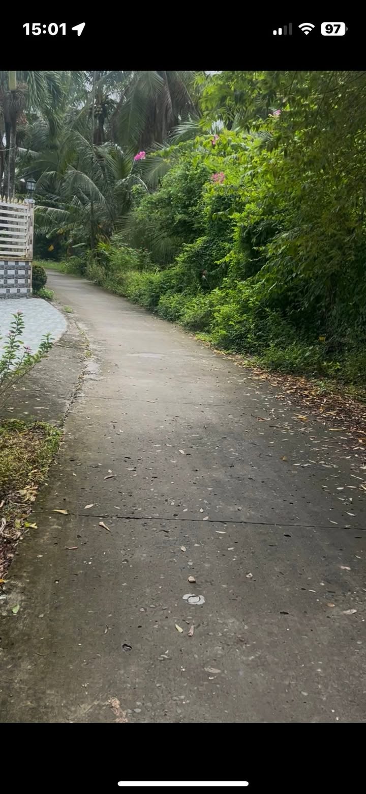 Đất nền chính chủ Bình Ninh, Chợ Gạo 154m² giá 350 triệu - Sổ đỏ sẵn sàng!