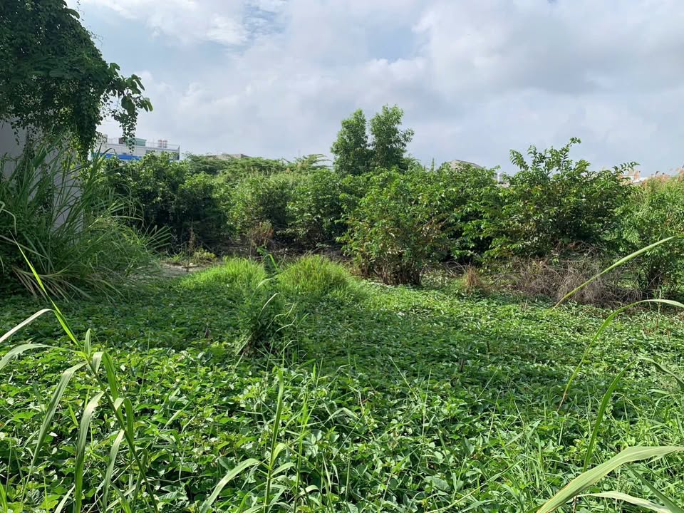 Đất nền 150m² hẻm Lò Mổ, Tân An, Cần Thơ - Giá chỉ 450 triệu thương lượng!