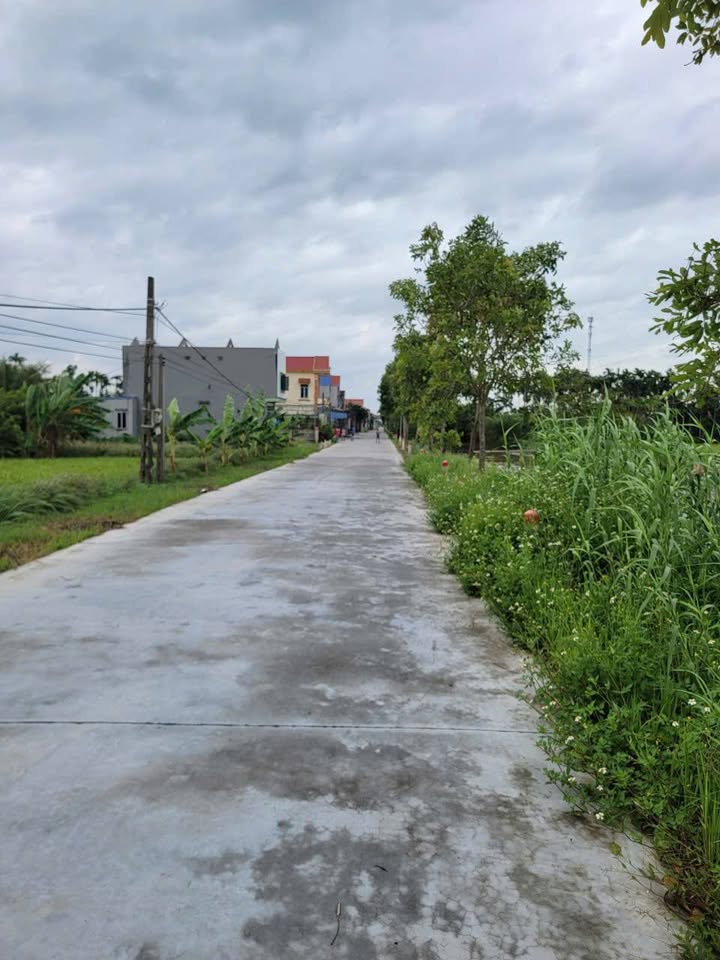 Đất nền chính chủ Trực Cường 120m² giá chỉ 1 tỷ - Cơ hội đầu tư tuyệt vời!