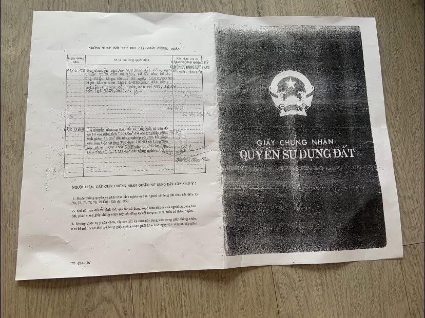 Đất nông nghiệp Long Sơn 1235m² giá thỏa thuận - Sổ đỏ chính chủ!