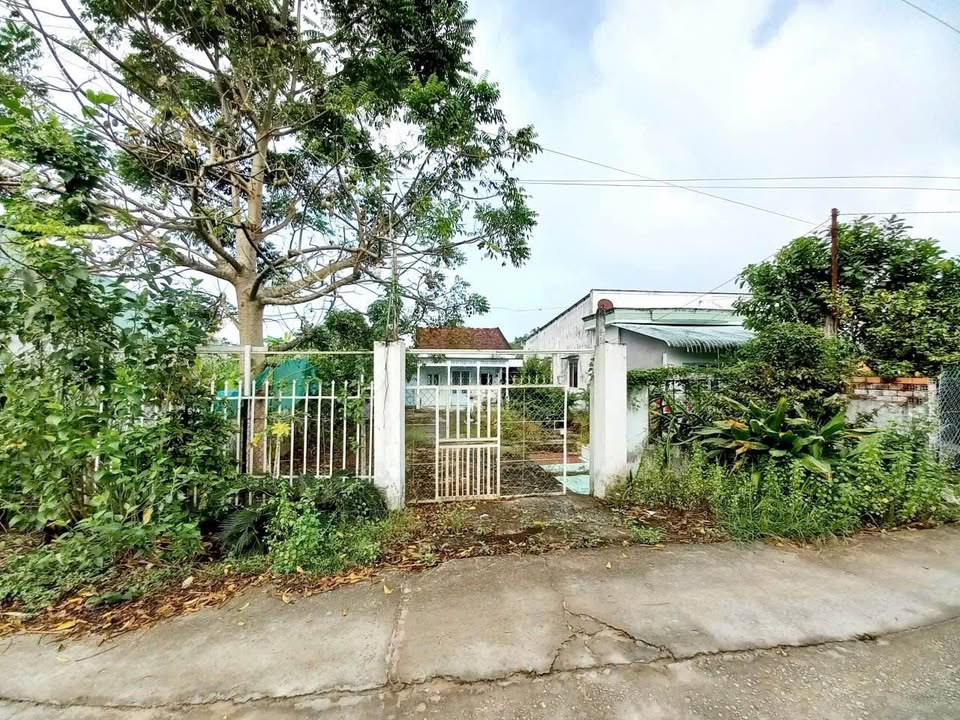 Đất nền mặt tiền 584m² Trương Vĩnh Nguyên, Cái Răng - Giá chỉ 2.85 tỷ thương lượng!