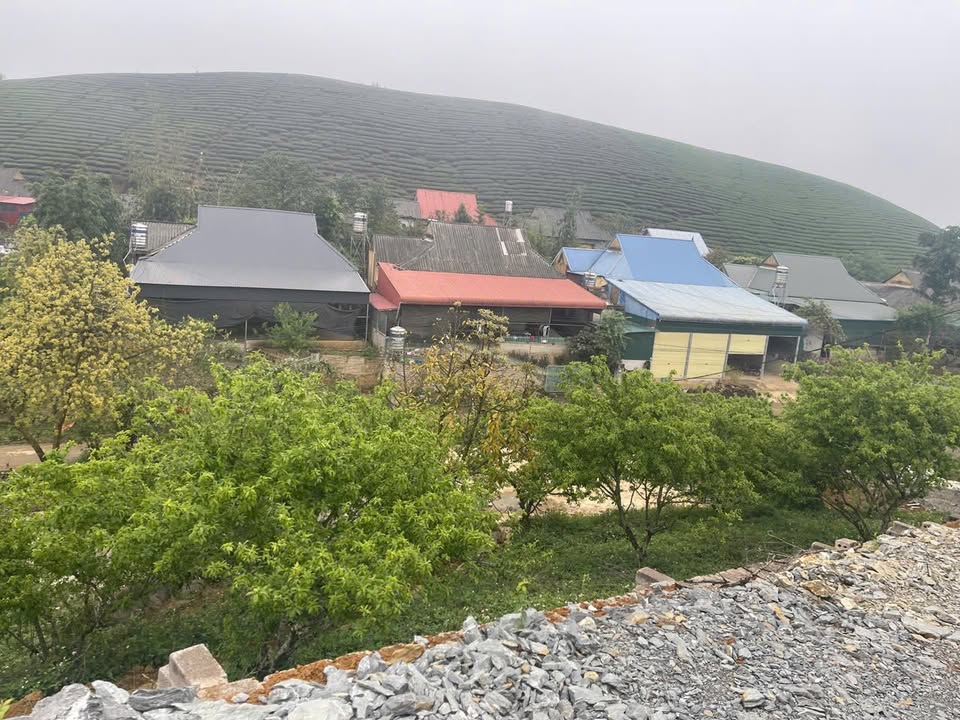 Đất nền Mộc Châu 2.500m² mặt tiền 42m - Tiềm năng phát triển vượt trội!