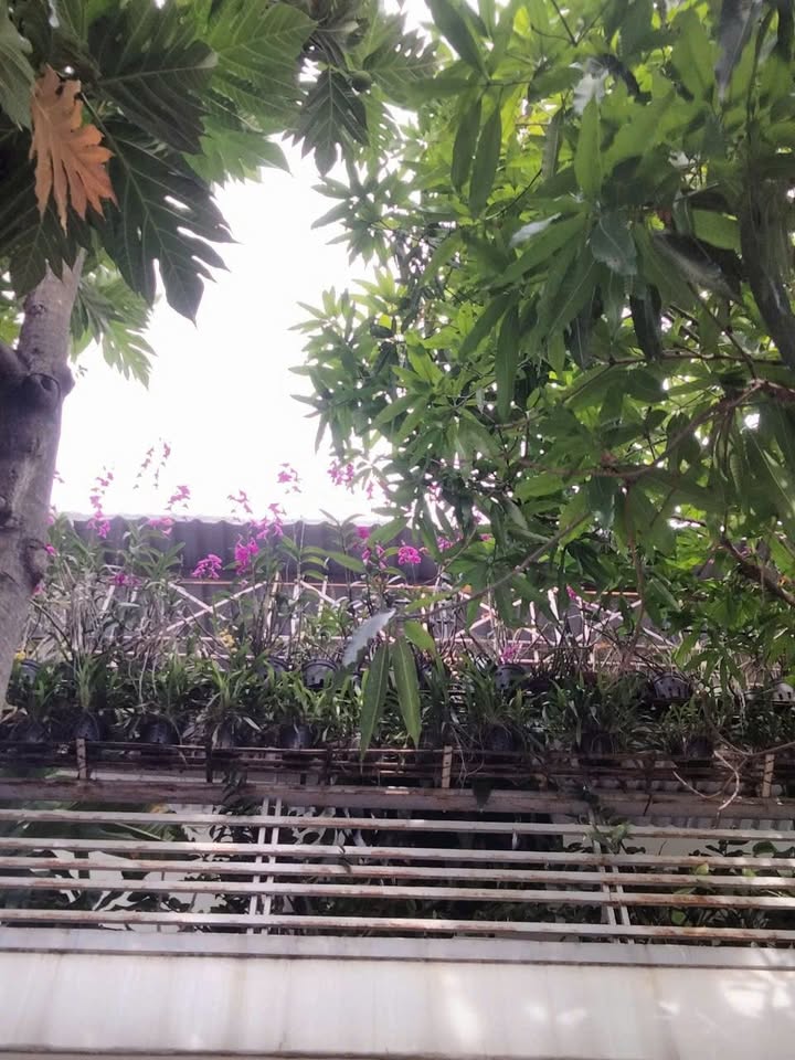 Nhà cho thuê 2 tầng tại Dĩ An 50m² giá 5 triệu - Tiện nghi đầy đủ, vào ở ngay!