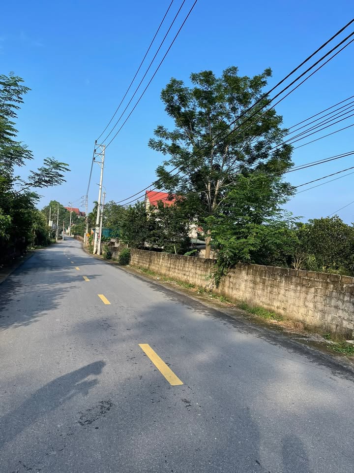 Đất mặt đường nhựa thôn 9, xã Ba Trại, 22m² - Vị trí đắc địa, giá thỏa thuận!