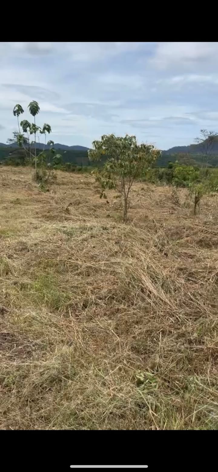 Đất nền phân lô Lộc Quảng 6480m² giá chỉ 400 triệu - Cơ hội đầu tư hấp dẫn!