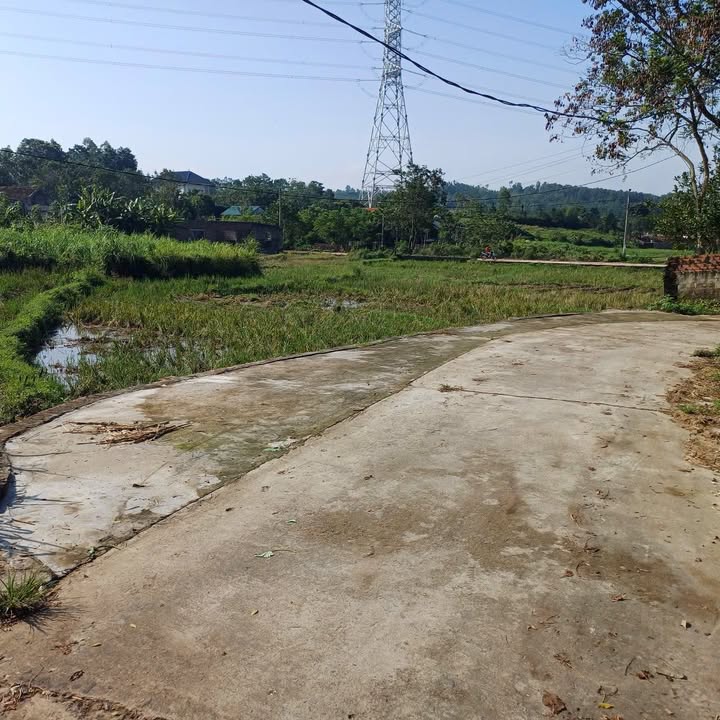 Đất nền Tam Đảo 112.8m² giá chỉ 400 triệu - View cánh đồng tuyệt đẹp!